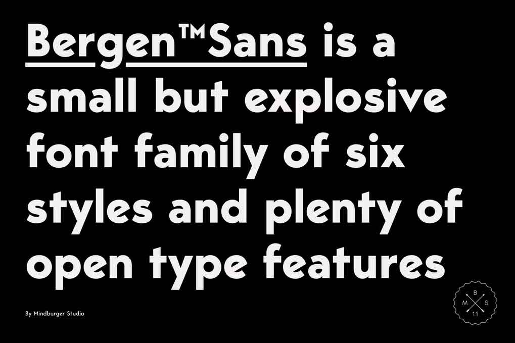 Bergen Sans Font