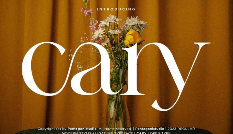 Cary - Classy Serif Font