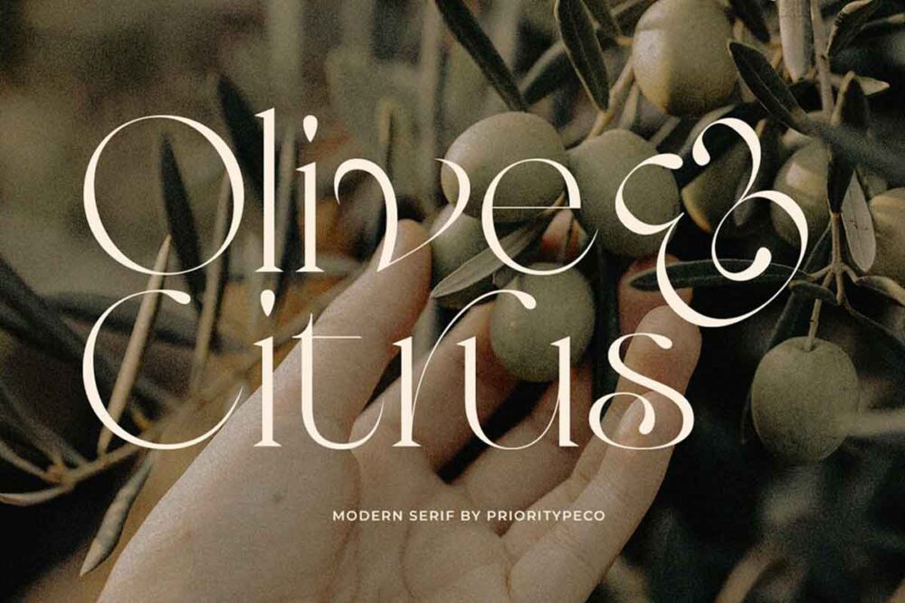 Olive & Citrus - Modern Serif