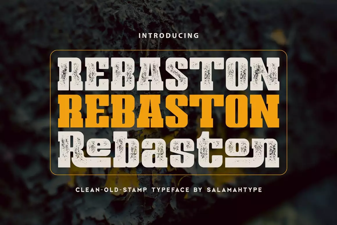 Rebaston - Display Serif