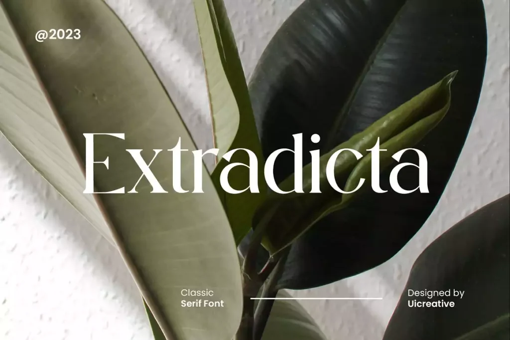 Extradicta Classic Serif Font