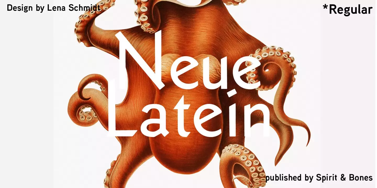 Neue Latein Font Family