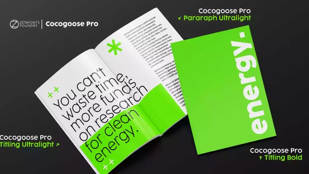 Cocogoose Font