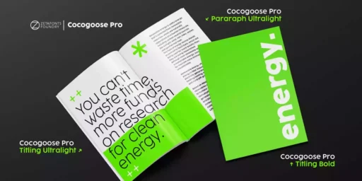 Cocogoose Font