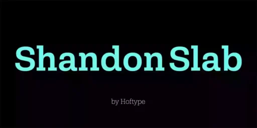 Shandon Slab Font Family