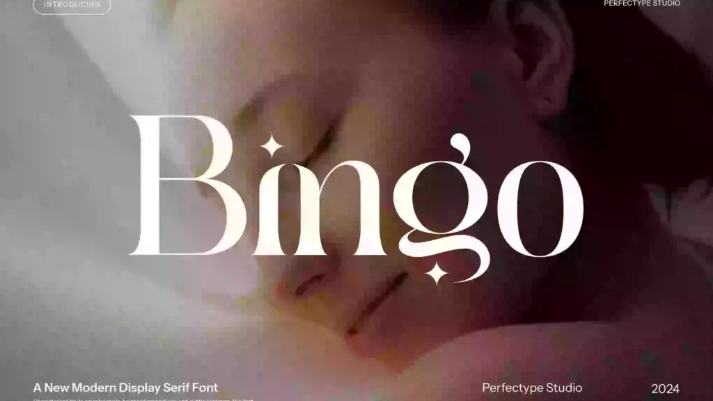 Bingo Font