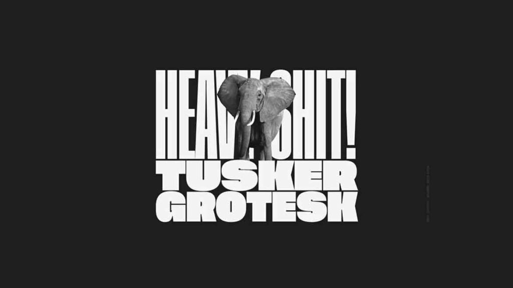 Tusker Grotesk Font Family