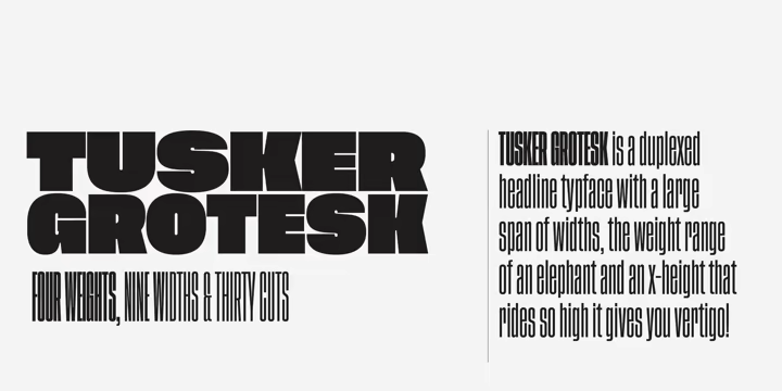 Tusker Grotesk Font Family Preview 1 