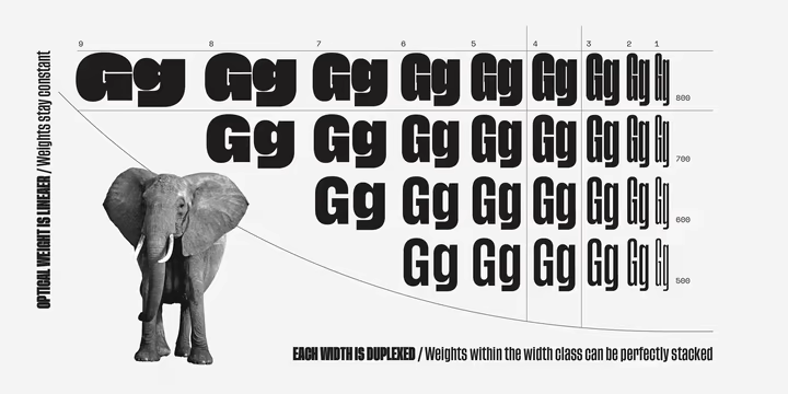 Tusker Grotesk Font Family Preview 3