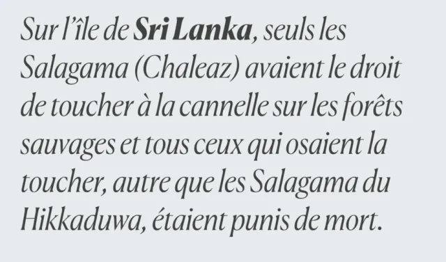 Canela Font Family 2