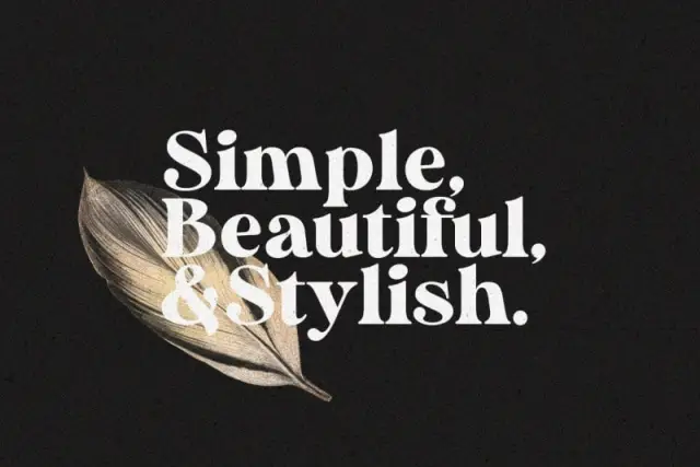 Duke Charming Serif Font 2