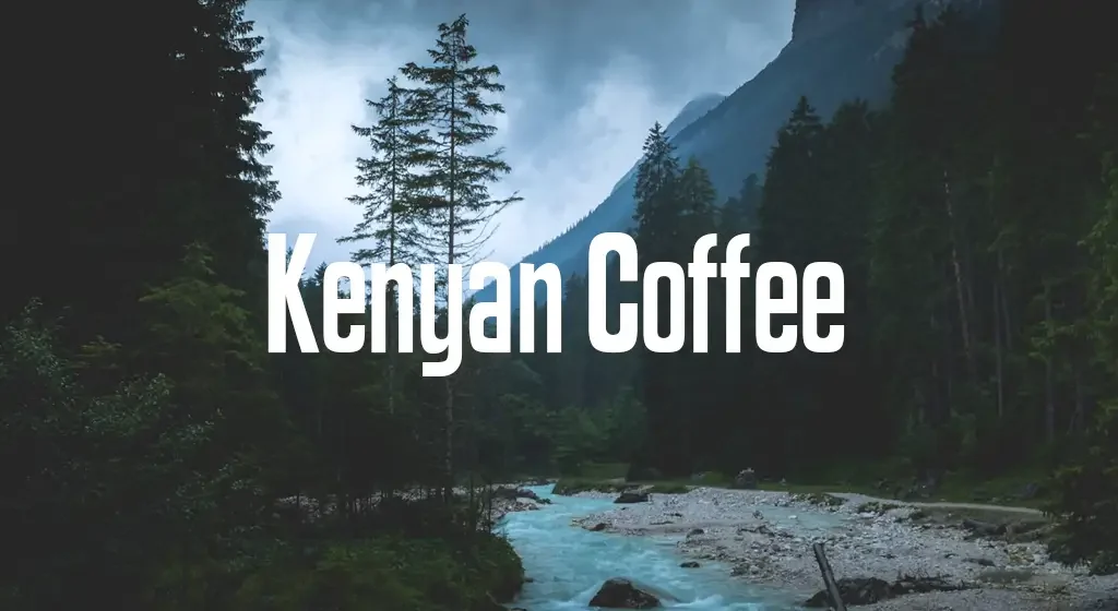 Kenyan Coffee Font Family