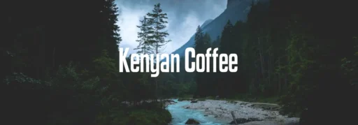 Kenyan Coffee Font Family